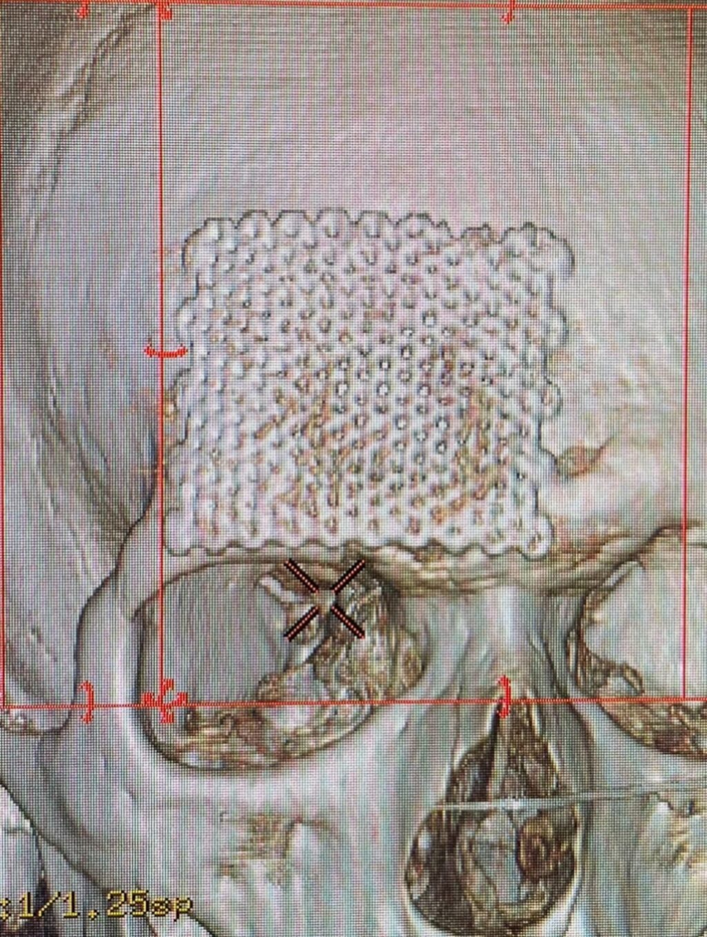 Instagram post from drcassiovinhadelli. This post is in position 3.